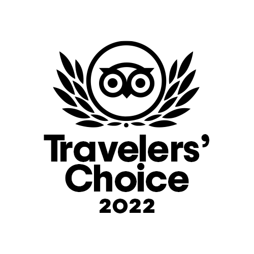 animation tc 2022