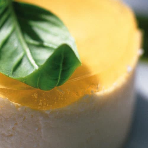 Cremige Terrine von der heimischen Buttermilch