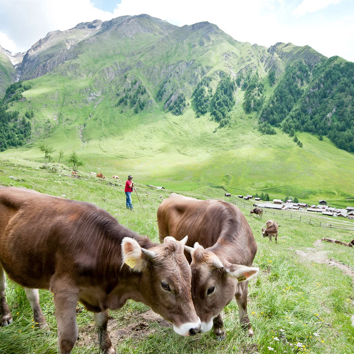 familiaere atmosphaere im sonnenhof meransen suedtirol.jpg 0004 44544519782 ac1891b16e o