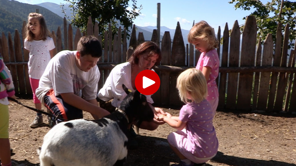 Kindererlebnistag am Bauernhof auf Peer.tv
