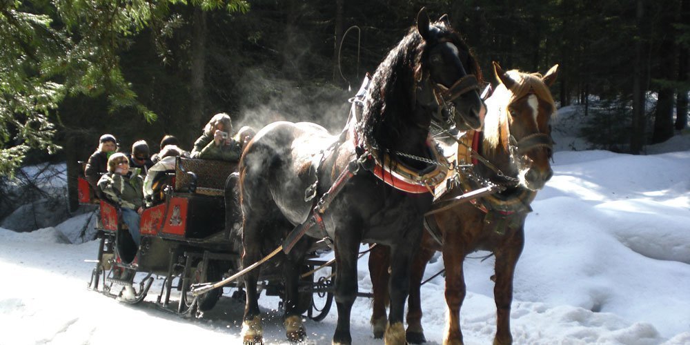 Carriage rides for children through Maranza - but not only for children