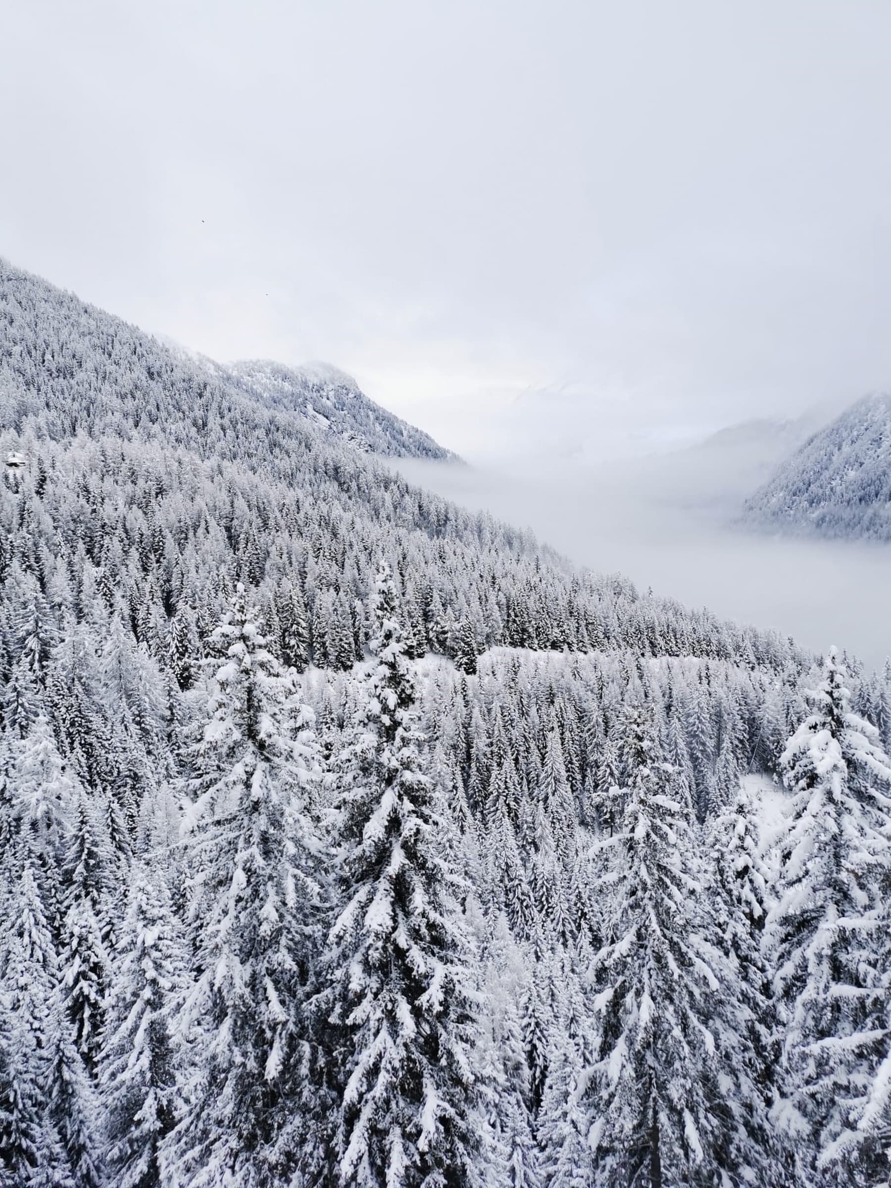 pension sonnenhof meransen eisacktal gitschberg jochtal wandern ski rodeln unterkunft 1 1