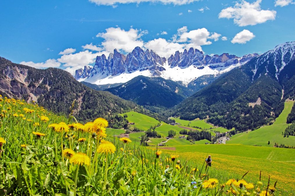 Frühlingserwachen am Berg