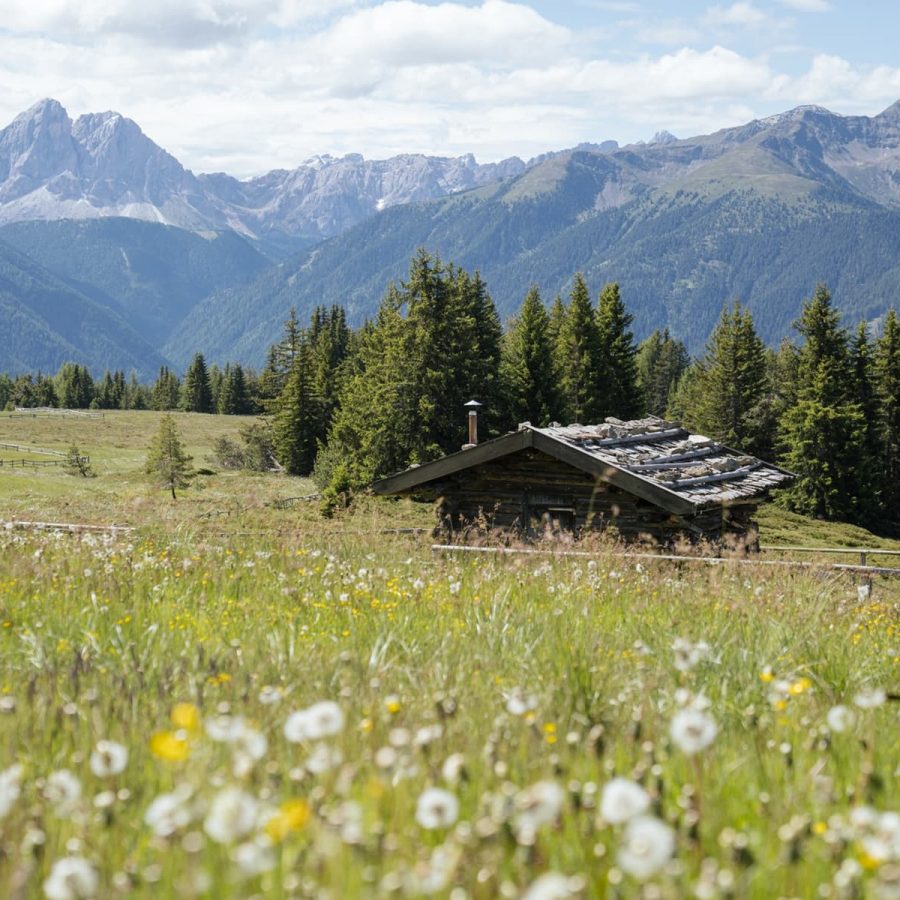 Last Minute in die Berge