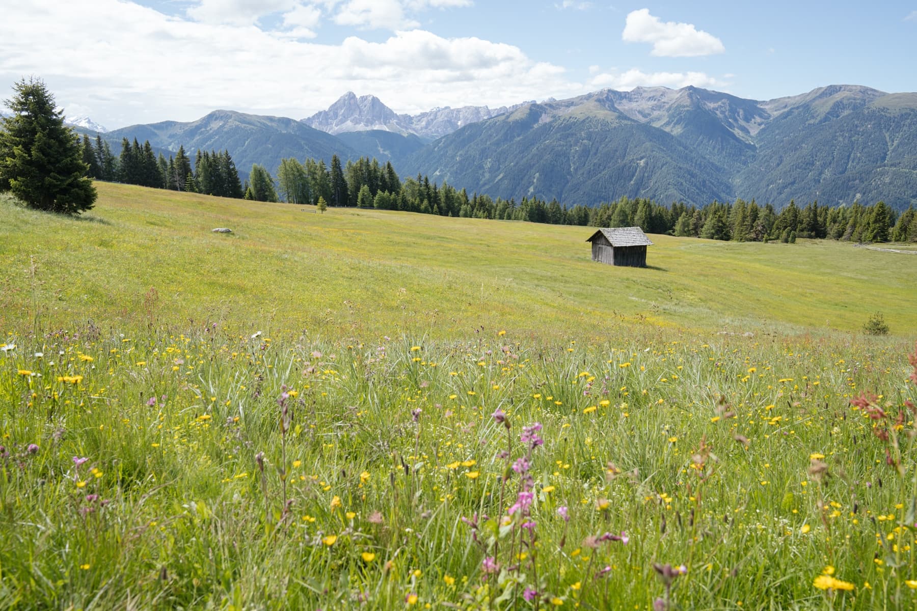pension sonnenhof meransen eisacktal gitschberg jochtal wandern ski rodeln unterkunft 5