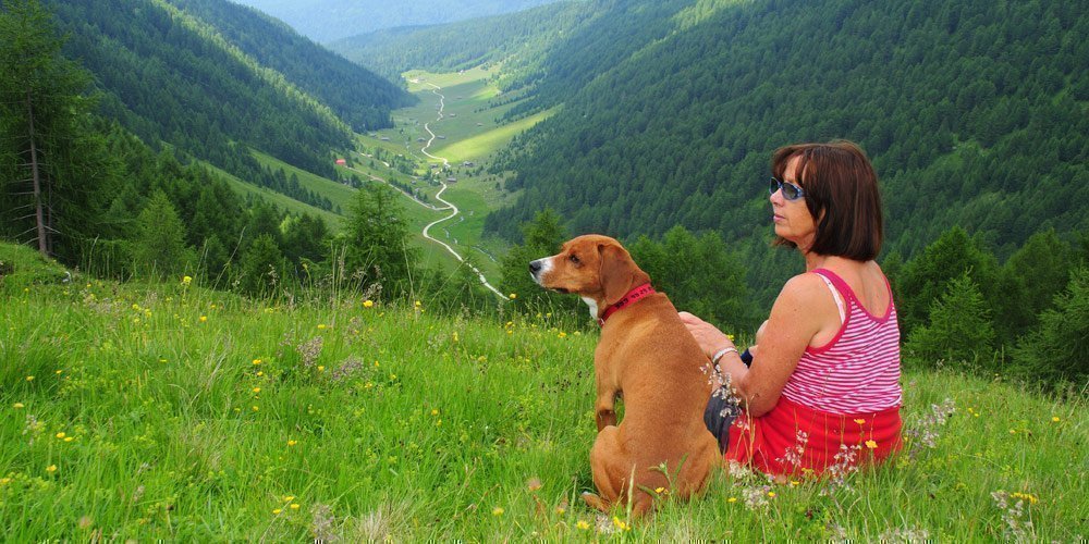 Urlaub mit Ihrem Hund in den Bergen!