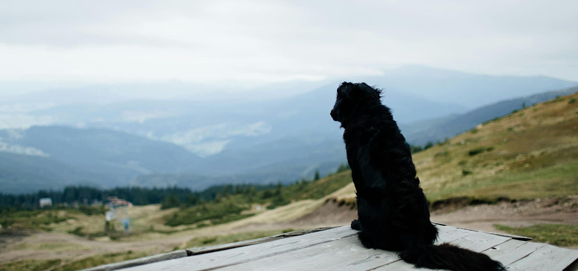 Urlaub mit Hund in Südtirol Meransen Dolomiten (1)
