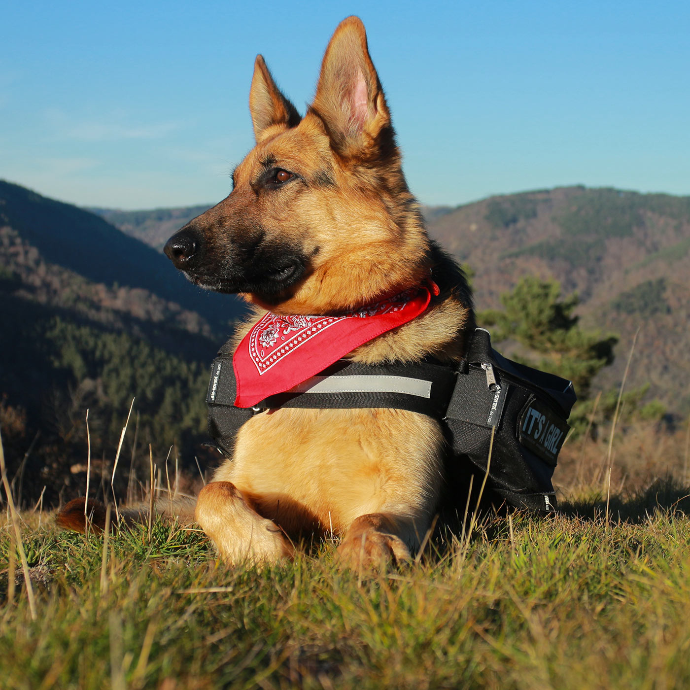 Urlaub mit Hund in Südtirol Meransen Dolomiten (8)